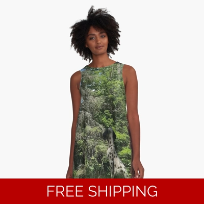 Le Studio A Line Dress Rush signals Statue Up at Le Studio Back